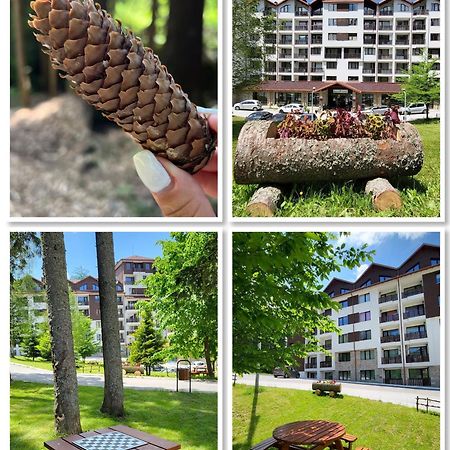 The Green Apartment Borovets Esterno foto