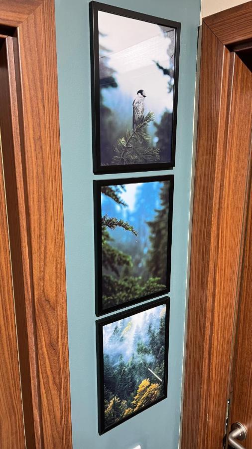The Green Apartment Borovets Esterno foto
