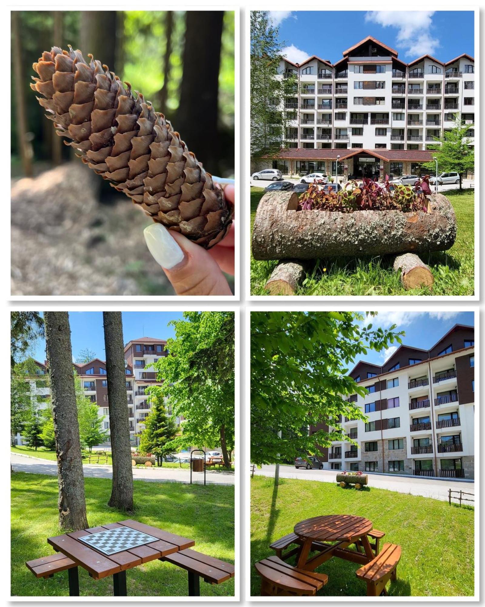 The Green Apartment Borovets Esterno foto