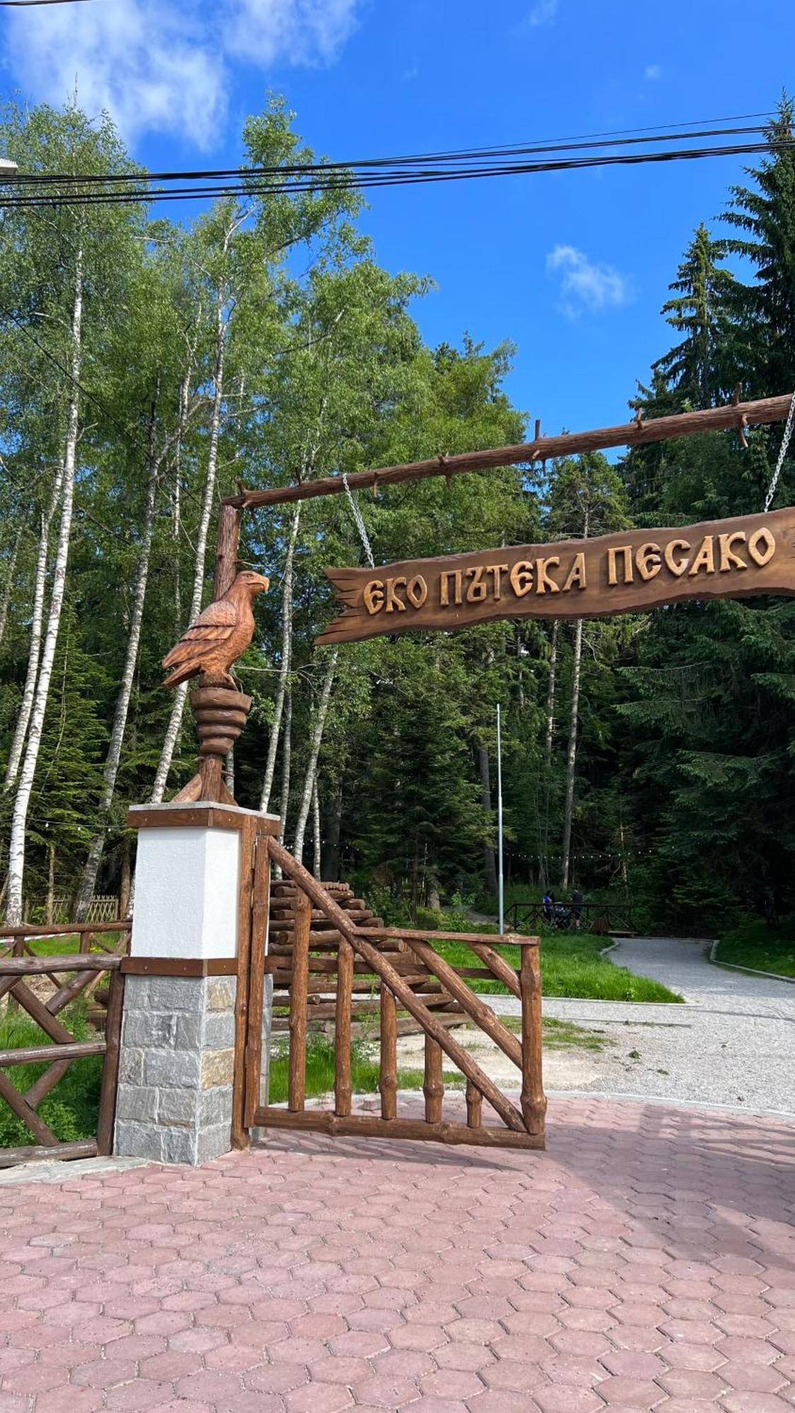 The Green Apartment Borovets Esterno foto